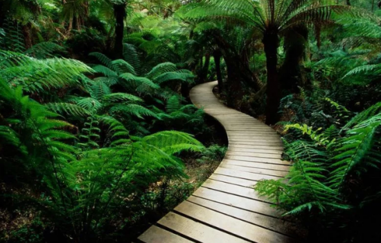 塑木產業預期發展目標及增長速度