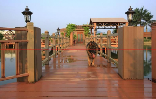 竹/塑復(fù)合材料具有廣闊的市場(chǎng)和應(yīng)用領(lǐng)域