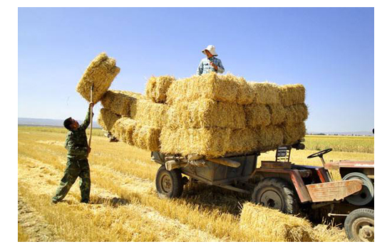 秸稈/塑木復合材料進展