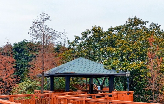 塑木復合材料亭廊設計探討