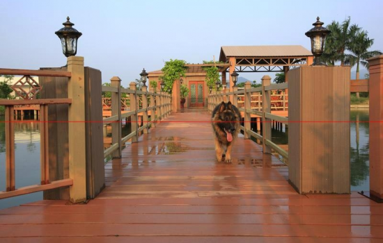 竹塑復(fù)合材料制備