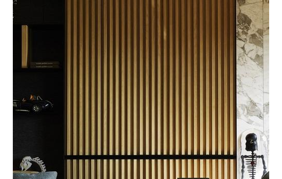 塑木復合材料在墻體裝飾中的應(yīng)用